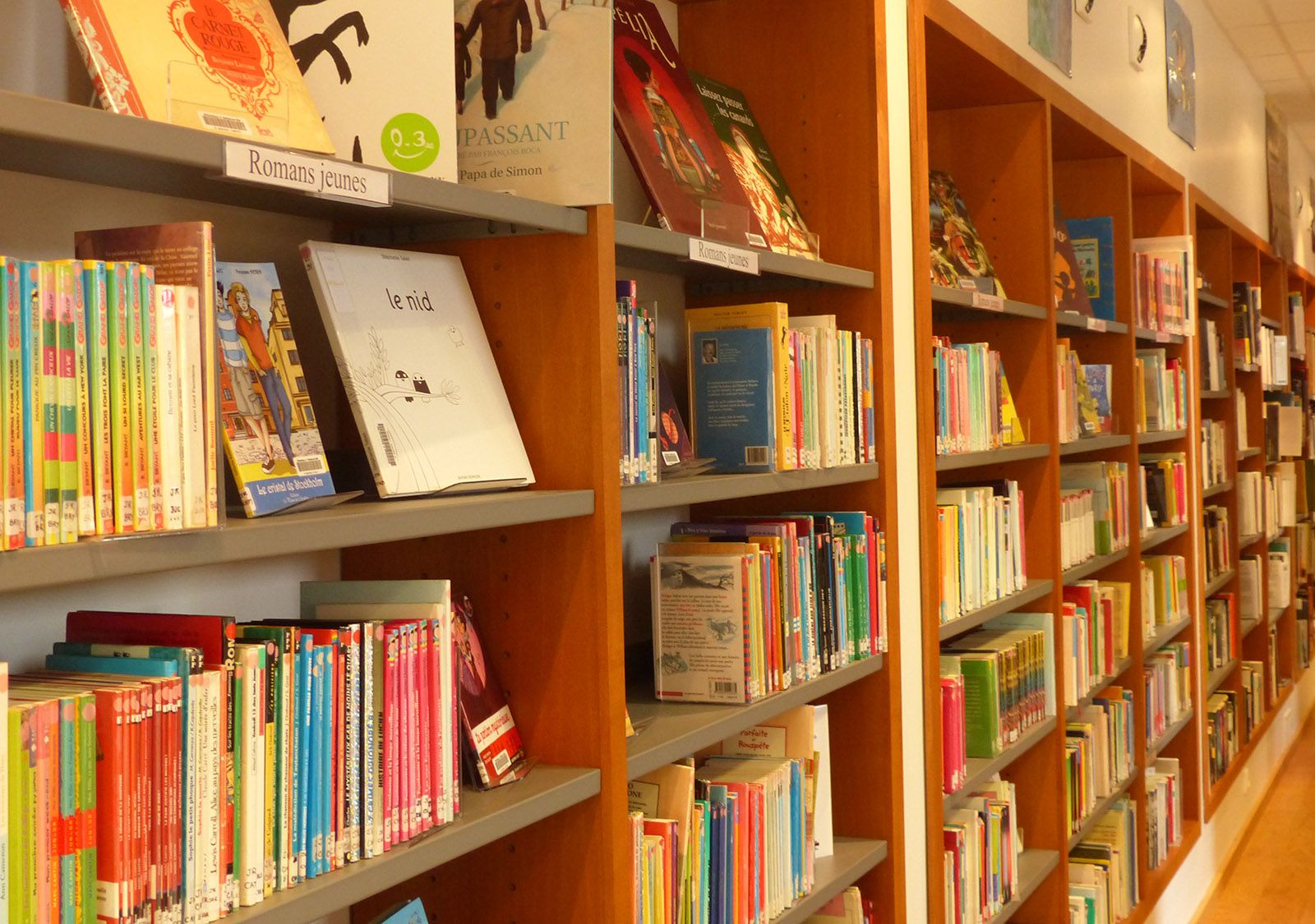 Des auteures trainent Afrédit en justice pour contrefaçon