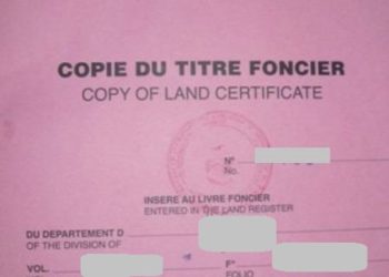 Quand des «financiers» accaparent un patrimoine