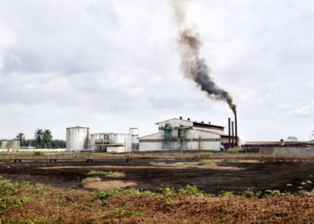 Les populations décidées de reprendre 200 hectares de terres à la Socapalm