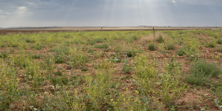 Ils se déchirent pour les terrains laissés par leurs grands-parents