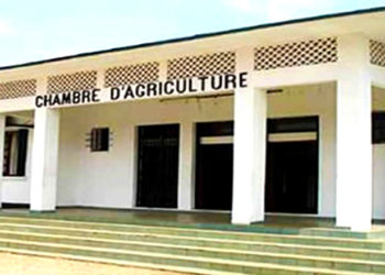 Quand la justice couvre une grosse arnaque à la Chambre d&rsquo;Agriculture