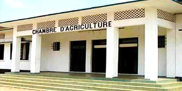 Quand la justice couvre une grosse arnaque à la Chambre d’Agriculture