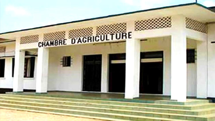Quand la justice couvre une grosse arnaque à la Chambre d&rsquo;Agriculture