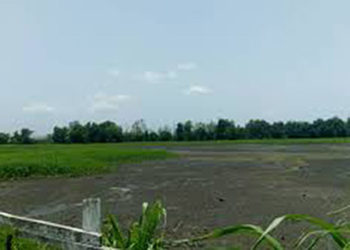 Ce frère qui s’approprie tous les terrains de la famille