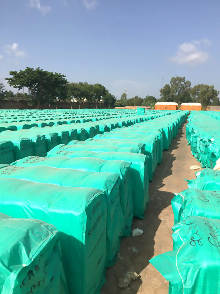 Comment des agents de la Sodecoton ont détourné 308 tonnes de coton