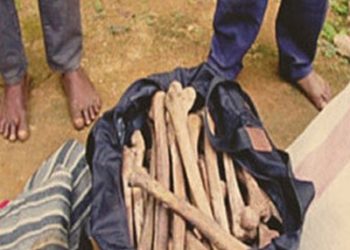 Des jeunes gens accusés d’avoir profané un cadavre humain