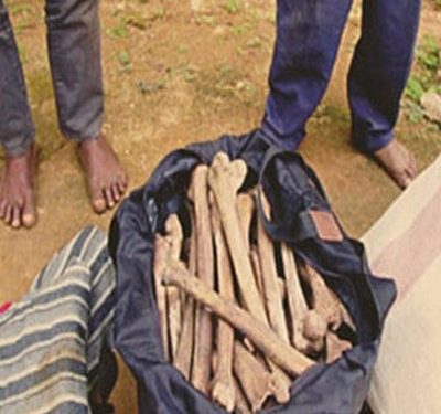 Des jeunes gens accusés d’avoir profané un cadavre humain