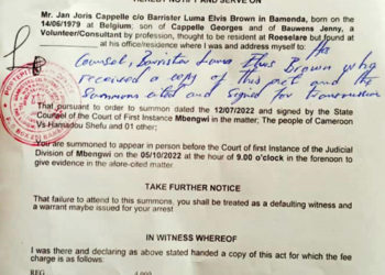 Quand le Came-roun piétine ses engagements à l’ONU au sujet des droits d’un citoyen belge