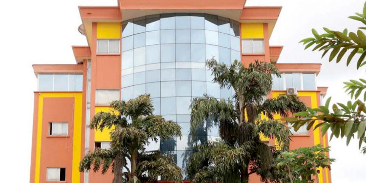 Méprisé par la presse, le CNC fait appel aux gros bras d’Atanga Nji