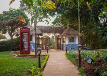 Yannick Noah perd un procès au sujet de la propriété du «village Noah»