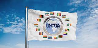 Le droit Ohada du recouvrement des créances et la protection du créancier chirographaire