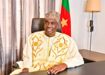 Au Tribunal militaire pour avoir dit que Tchiroma a remporté la Présidentielle