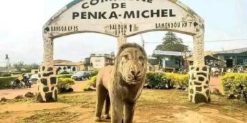 Comment «Penka-Michel» nourrit la contestation dans la Menoua